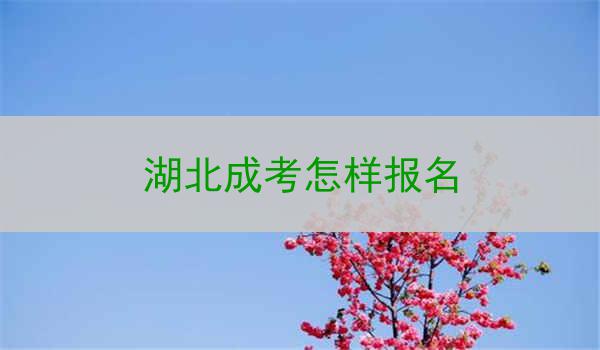 湖北成考怎样报名