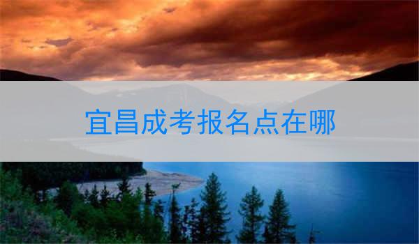 宜昌成考报名点在哪