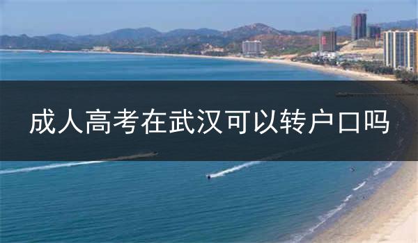 成人高考在武汉可以转户口吗