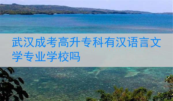 武汉成考高升专科有汉语言文学专业学校吗
