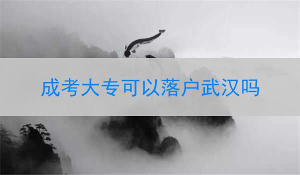成考大专可以落户武汉吗