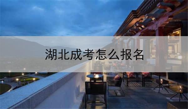 湖北成考怎么报名