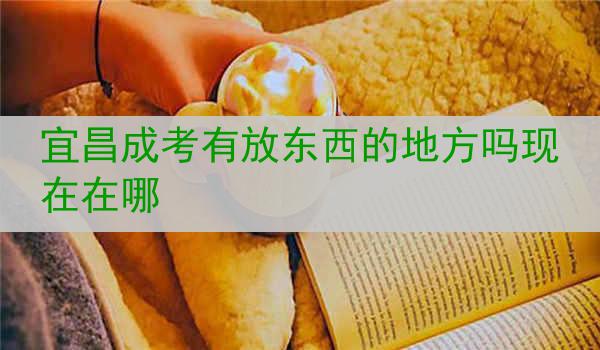 宜昌成考有放东西的地方吗现在在哪