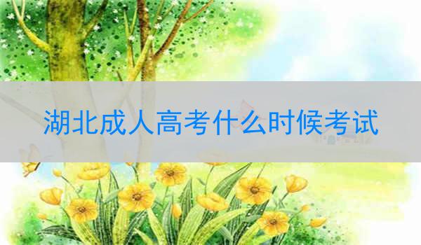 湖北成人高考什么时候考试