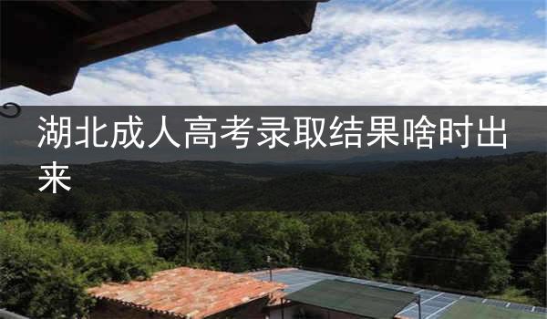 湖北成人高考录取结果啥时出来