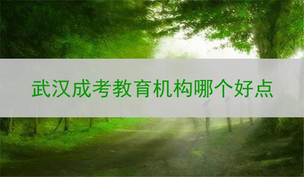 武汉成考教育机构哪个好点