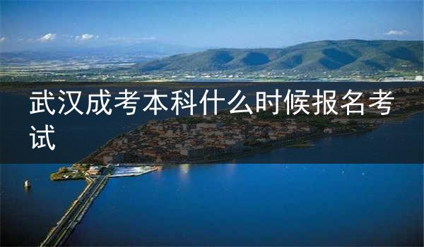 武汉成考本科什么时候报名考试