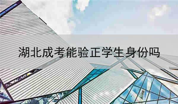 湖北成考能验正学生身份吗
