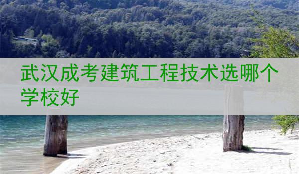 武汉成考建筑工程技术选哪个学校好