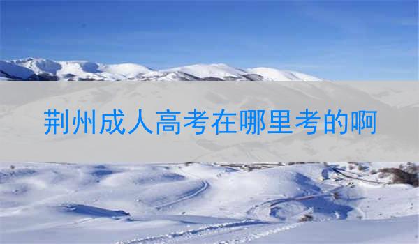 荆州成人高考在哪里考的啊