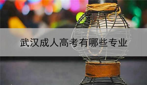 武汉成人高考有哪些专业