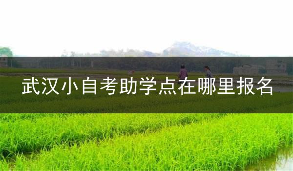 武汉小自考助学点在哪里报名