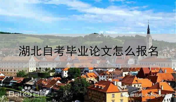 湖北自考毕业论文怎么报名