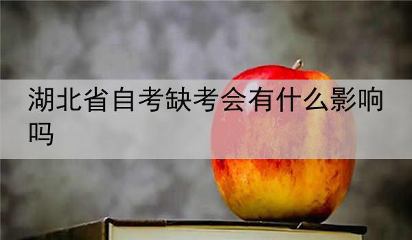湖北省自考缺考会有什么影响吗