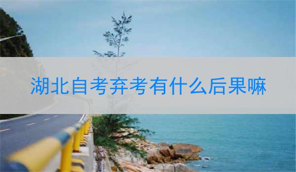 湖北自考弃考有什么后果嘛