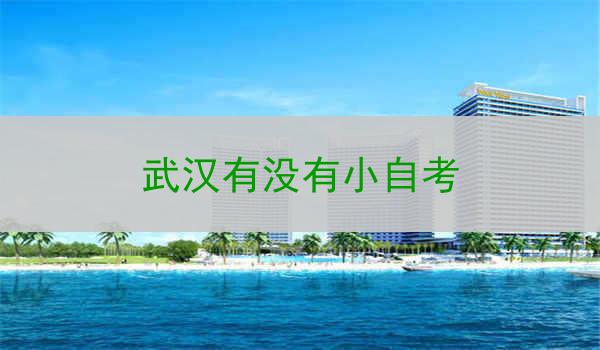 武汉有没有小自考