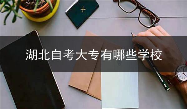 湖北自考大专有哪些学校