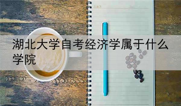 湖北大学自考经济学属于什么学院