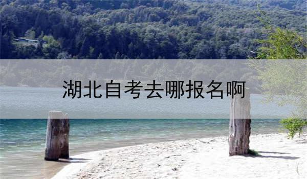 湖北自考去哪报名啊