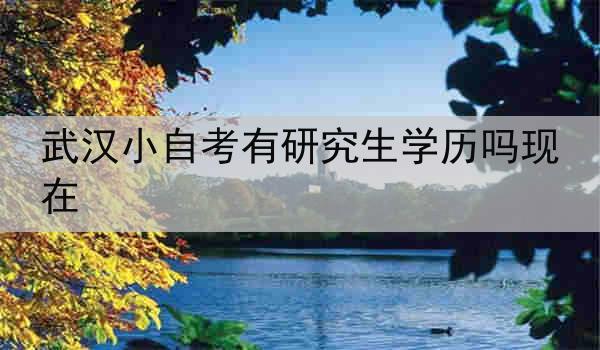 武汉小自考有研究生学历吗现在