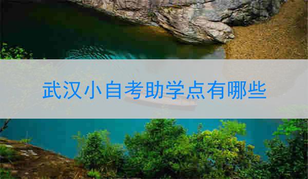 武汉小自考助学点有哪些