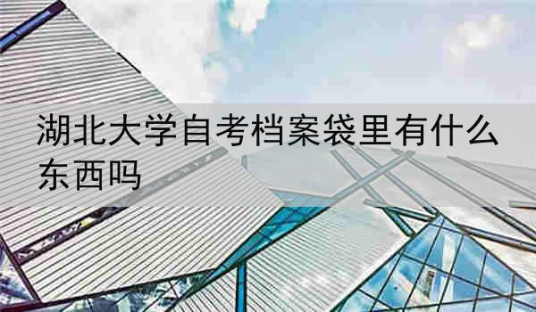 湖北大学自考档案袋里有什么东西吗