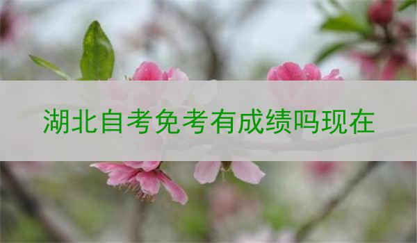 湖北自考免考有成绩吗现在