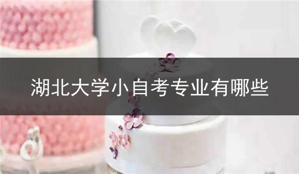 湖北大学小自考专业有哪些