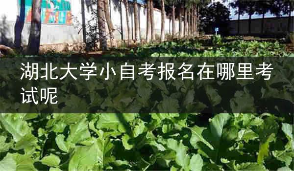 湖北大学小自考报名在哪里考试呢