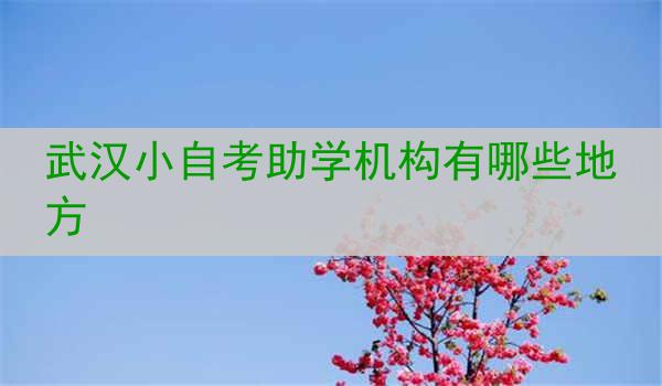 武汉小自考助学机构有哪些地方