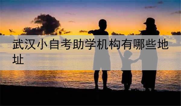 武汉小自考助学机构有哪些地址