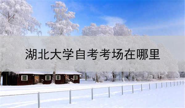 湖北大学自考考场在哪里