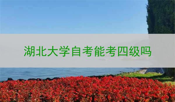 湖北大学自考能考四级吗