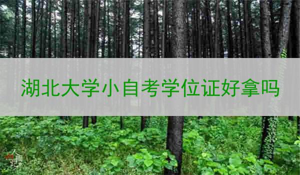 湖北大学小自考学位证好拿吗