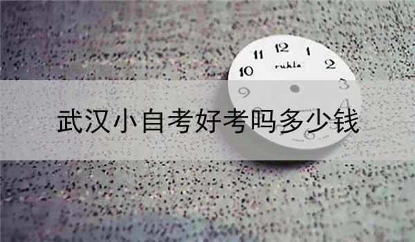 武汉小自考好考吗多少钱