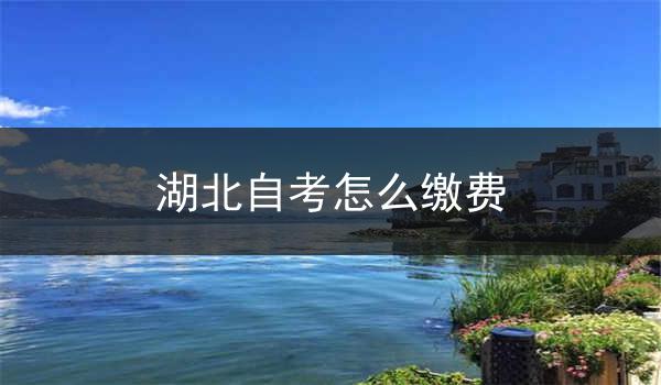 湖北自考怎么缴费