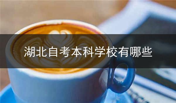 湖北自考本科学校有哪些