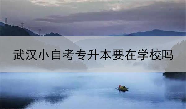 武汉小自考专升本要在学校吗