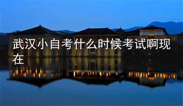 武汉小自考什么时候考试啊现在