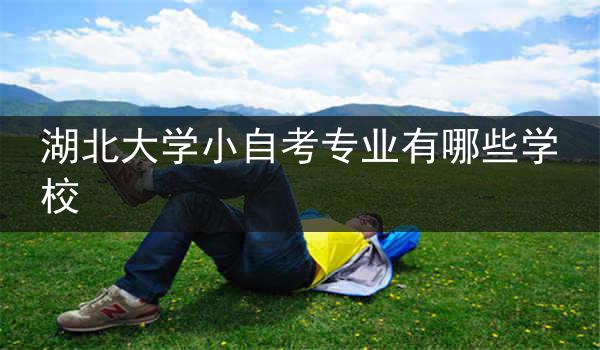 湖北大学小自考专业有哪些学校