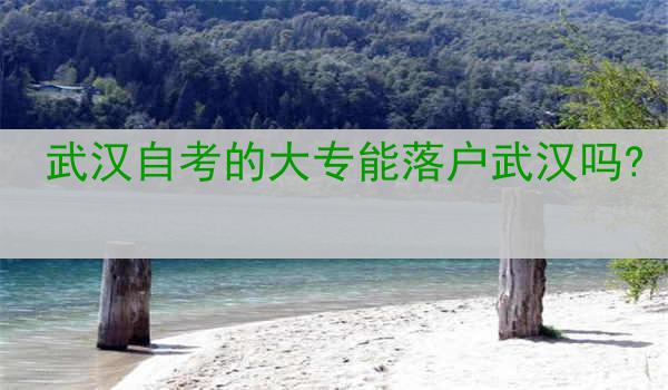 武汉自考的大专能落户武汉吗?
