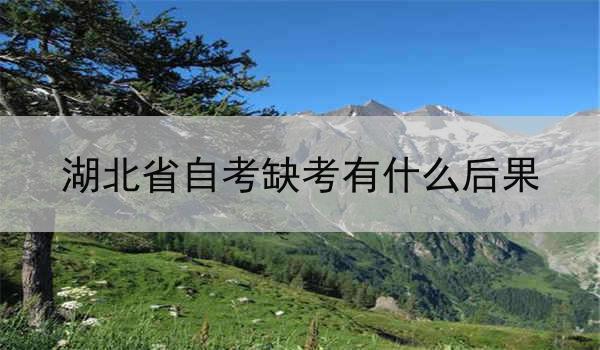 湖北省自考缺考有什么后果