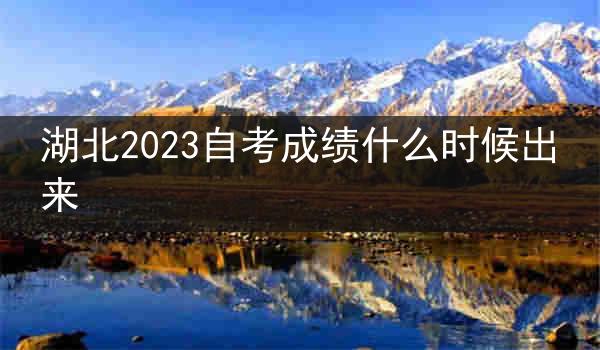 湖北2023自考成绩什么时候出来