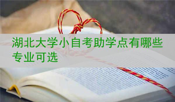 湖北大学小自考助学点有哪些专业可选