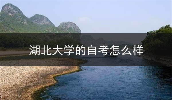 湖北大学的自考怎么样