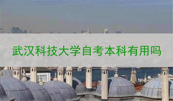 武汉科技大学自考本科有用吗