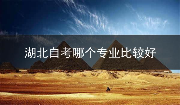 湖北自考哪个专业比较好