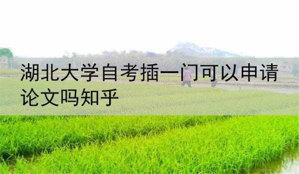 湖北大学自考插一门可以申请论文吗知乎