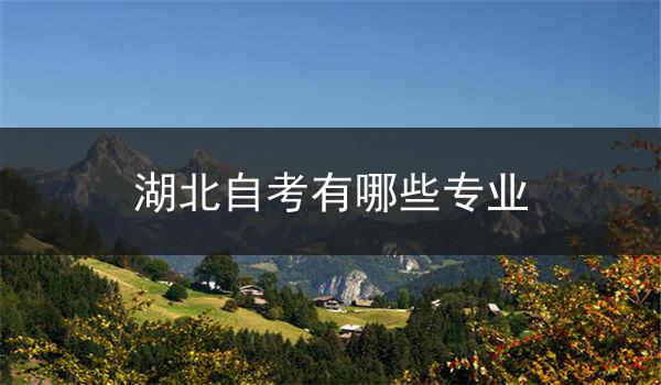 湖北自考有哪些专业