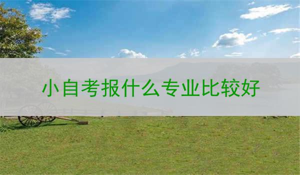小自考报什么专业比较好